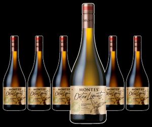 Wein aus Chile günstig kaufen online