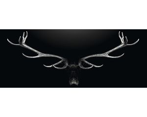 Glasbild Deer Antler 30x80 cm GLA2030