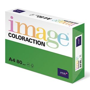 Image Coloraction - farbiges Kopierpapier Dublin/dunkelgrün 80g/m² A4 - Paket zu 500 Blatt