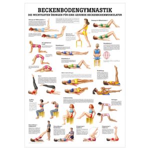 Beckenbodengymnastik Mini-Poster Anatomie 34x24 cm medizinische Lehrmittel