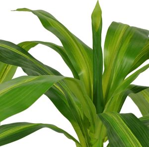 vidaXL Sztuczne drzewko smocze z doniczką 100 cm zielone