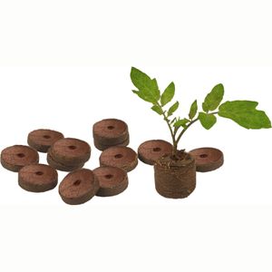 Kokoserde Quelltabletten Tabs Pflanzenanzucht torffrei 40er Set