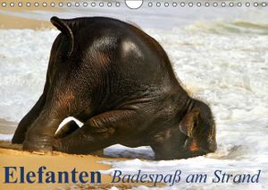 Calvendo Elefanten Babys beim Baden in Thailand (Monatskalender, 14 Seiten) 978-3-664-03923-4