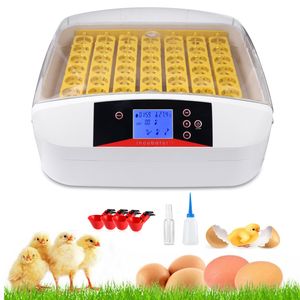 56 Eier Vollautomatisch Inkubator, Intelligentes digitales Brutmaschine Brutkasten mit Anzeige für Temperatur, Feuchtigkeit und Inkubationstage, geeignet für kleine Geflügeleier, weiß