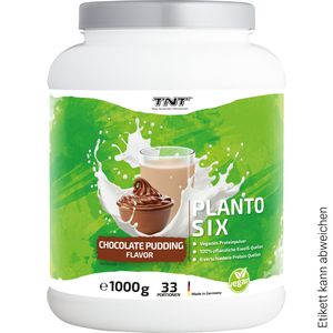 TNT Planto Six veganes Mehrkomponenten Protein aus 6 Eiweißquellen, super cremig 1000g Schoko-Pudding