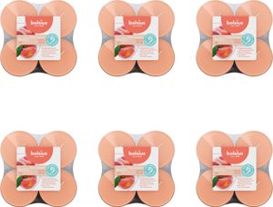 Bolsius - True Scents - Maxi - Duft-Teelichter - 8 Stück pro Packung - Klare Tasse - Pfirsich - Vorteilspack - 48 Stücke - 6 Verpackung