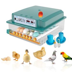 Inkubátor Plně automatický kuřecí inkubátor Farmářský inkubátor Slepice 16 vajec Inkubátory