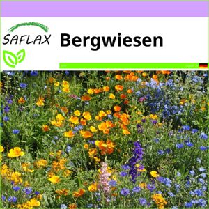 SAFLAX - Wildblumen: Bergwiesen - 1000 Samen - 16 Sorten