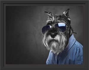 Lustiger Hund mit Hemd und Sonnenbrille B&W Detail im Schattenfugen Bilderrahmen / Format: 38x30 im Schattenfugen-Bilderrahmen / Kunstdruck auf hochwertigem Galeriekarton / hochwertige Leinwandbild Alternative
