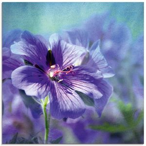 ARTland Glasbild Blaue Blume Größe: 30x30 cm