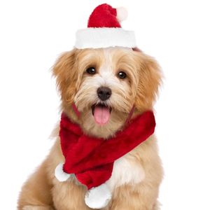 Weihnachtsmann Mütze Schal Set Für Hunde Kleine Katzen Rot