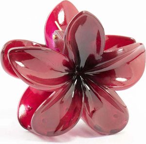 Burgunday Frangipani Haarklammer
