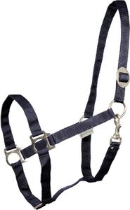Waldhausen Perlon Halfter Blau Cob Blau Cob Waldhausen Perlon Halfter Blau Cob Blau Cob