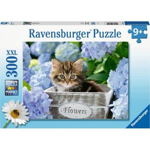 Kleine Katze Ravensburger 12894