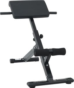 vidaXL Hyperextenzná lavica 120 kg skladacia a nastaviteľná z ocele