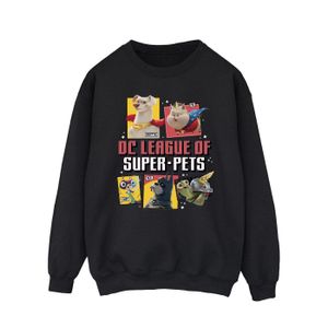 DC Comics - "DC League Of Super-Pets Profile" Sweatshirt für Herren BI21844 (XL) (Schwarz)