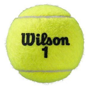 Wilson Roland Garros All Court Tennisball 4