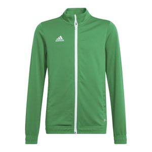 Adidas Bluzy Entrada 22, HI2138, Größe: 147