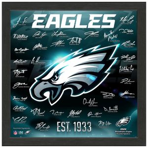 Philadelphia Eagles NFL Signature Logo Bild 33x33cm