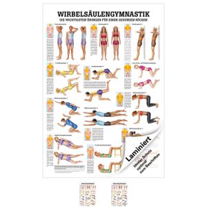 Wirbelsäulengymnastik Mini-Poster Anatomie 34x24 cm medizinische Lehrmittel