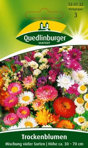 Quedlinburger Saatgut - Trockenblumen Mischung - Samen - 530132