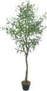 Olivenbaum Olive Künstlich Olivenbusch Kunstbaum Kunstpflanze Künstliche Pflanze Künstlicher Baum Echtholzstamm Innendekoration 160 cm Decovego