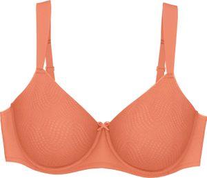 Triumph Essential Minimizer Apricot Brandy 80 C Triumph Essential Minimizer Apricot Brandy 80 C