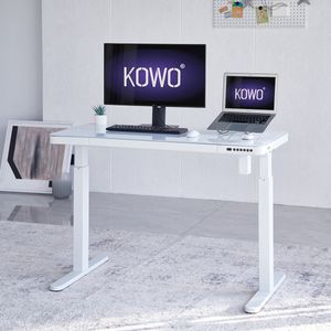 KOWO Elektrisch Hoehenverstellbarer Schreibtische Glas Bürotisch 120x60 cm mit Wireless Charger & mit Smartem Touchpad und USB-A & C Weiß