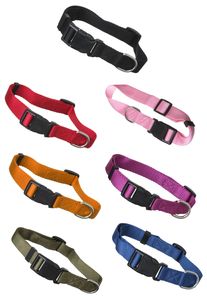 scarlet pet | Hundehalsband »Universal« mit Klickverschluss und Längenverstellung; diverse Farben und Größen; robustes Nylon, Größe:(XS) 21-32 x 1 cm, Farbe:Rot