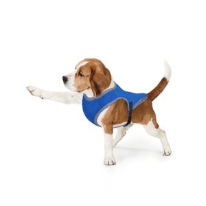 Kühlweste für Hunde - Atmungsaktive und Reflektierende Kühljacke, Hundemantel Sicherheitsweste mit Kühlungseffekt für kleine bis große Hunde