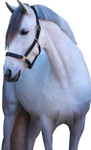 Covalliero Lederhalfter Eco Halfter Schwarz Pony