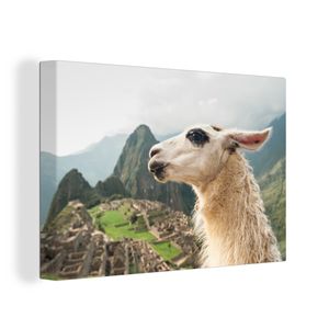 OneMillionCanvasses® - Leinwandbilder - 120x80 cm, Lama - Machu Picchu - Weiß, Wandbilder Kunstdruck Wanddekoration - Wanddekorationen - Wohnzimmer