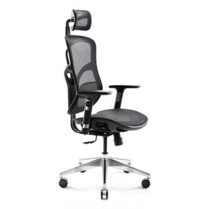 Diablo V-Basic Ergonomischer Stuhl Bürostuhl Chefsessel verstellbare Armlehnen 3D Kopfstütze Wippfunktion Netzstoff Farbwahl (schwarz/schwarz)