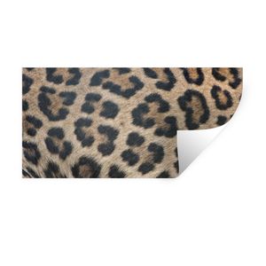 MuchoWow® Wandtattoo Wandsticker Wandaufkleber Leopardenmuster 80x40 cm Selbstklebend und Repositionierbar - Aufkleber