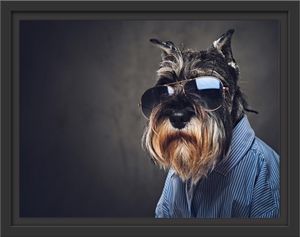 Lustiger Hund mit Hemd und Sonnenbrille im Schattenfugen Bilderrahmen / Format: 38x30 im Schattenfugen-Bilderrahmen / Kunstdruck auf hochwertigem Galeriekarton / hochwertige Leinwandbild Alternative