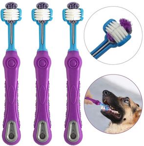 3 Stück Hundezahnbürste für Haustierzahnpflege, Dreifachkopf-Zahnbürste, ergonomischer Griff für einfache Mundpflege, perfekt für mittelgroße und große Hunde
