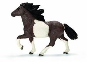 Island Pony Hengst