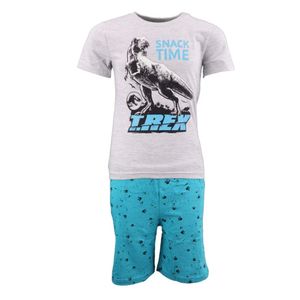 Jurassic World T-Rex Kinder Schlafanzug Pyjama – Grau / 98