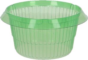 Esschert Design Schneckenkragen Grün transparent im 12er-Pack - Kunststoff
