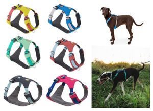 Ruffwear Hi & Light Geschirr, Farbe:Basalt Gray, Größe:M