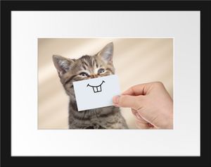 Lustige Katze mit Lächeln auf PapierBilderrahmen mit Galerie-Passepartout / Format: 38x30cm / gerahmt / hochwertige Leinwandbild Alternative