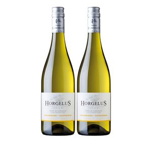 Horgelus Colombard Sauvignon - 2er Set Weißwein 0,75L (11,5% Vol) - Côtes de Gascogne Frankreich- [Enthält Sulfite]