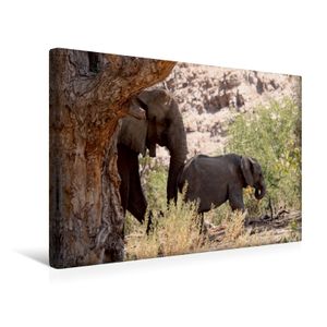 Calvendo  Textil-Leinwand 45 cm x 30 cm quer Elefant mit Baby unterwegs.  Jumbo - Auf den Spuren der Elefanten in Namibia, Imhof Walter; 7342893