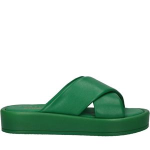 Bagatt Dámské pantofle D31AEK9050007000 Barva:zelená Velikost: 40