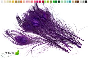 10 echte Pfauenfedern ca. 25-30cm, Farbauswahl:lila / purpur 465