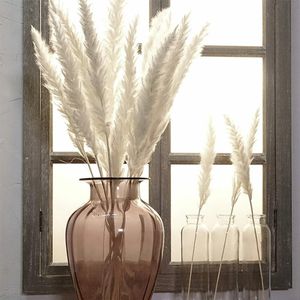 15 kusů bílých přírodních sušených květin DIY pampová tráva Phragmites Home Party Deco