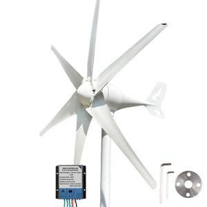 Windturbinengeneratoren, MPPT-Ladung, Niedrigdrehzahl-Windmühle, 24V, Mit Mppt-Regler, 2000W