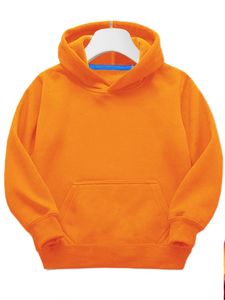 Schaltknauf Hoodie (orange), € 1,50 (4501 Neuhofen an der Krems