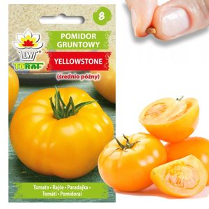 Pomidor gruntowy Tall Yellowstone Seeds Tomato Juicy Large 0.3G Pomidor polowy żółty