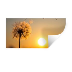 MuchoWow® Wandtattoo Wandsticker Wandaufkleber Löwenzahn - Sonne - Sonnenuntergang 40x20 cm Selbstklebend und Repositionierbar - Aufkleber